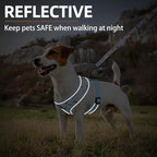 PUPTECK Soft Mesh Dog Harness and Leash Set Pet Puppy Cat Comfort Padded Vest No Pull Harnesses, Easter Blue, M