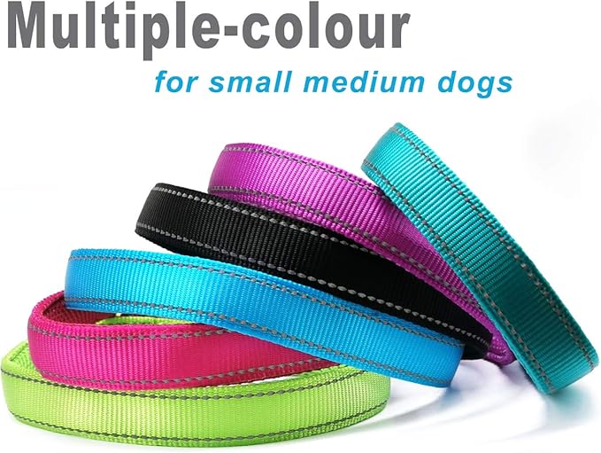 Reflective Slip Dog Collar, Loop Dog Collar with Soft Padded Training -Suitable for Dog Weight 20-38 lbs (5/8" W x 15.5" L, Teal)