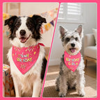SZEE Dog Birthday Bandana, Reversible Bandanas for Dog Birthday Outfits, Pet Apparel & Accessories, Triangle Pet Scarf for Photo Prop and Holiday Decor (Large, Pink)