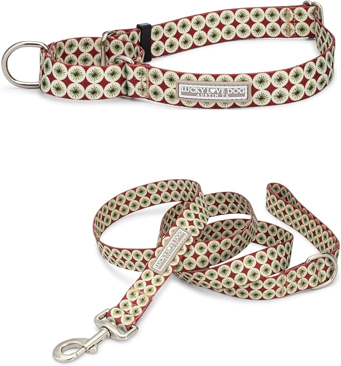 Lucky Love Dog Martingale Dog Collar & Leash - Adjustable, No-Slip, Durable, Comfortable, Soft Webbing, & Stylish Patterned Collar & Leash Set for Male and Female Dogs - Pongo Combo, Large