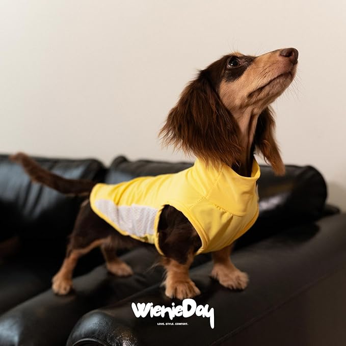 Dachshund Dog Cooling Vest, Breathable Summer Dog Cooling & Quick-Dry Shirt for Outdoor Activities,Mini Dachshund Lightweight Clothes, Vest Small Dogs (Yellow, XL (22-27 lbs))