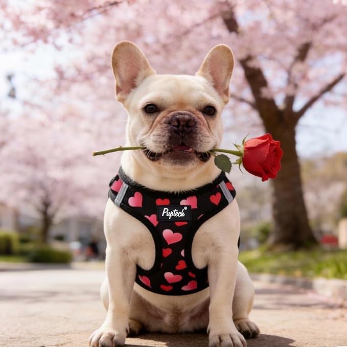 PUPTECK Dog Harness and Leash Set for Small Medium Dogs No Pull Step-in Soft Mesh Puppy Cat Vest Valentine Harnesses Reflective at Night, Black&Pink Heart, XS