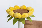 HYABi 44.1 Inch Tall Flower Cat Tree Tower Condo Climbing for Indoor Cats Multi Level with Sisal Scratching Post Hammocks Pet House Play Home Furniture Platform