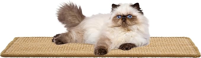 SAFAVIEH Cat Scratch Mat Pad Collection, 10" x 24", Light Brown, Sisal Boucle Weave, Velcro & Slip Resistant Backing