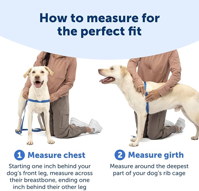 PetSafe Easy Walk No-Pull Dog Harness - The Ultimate Harness to Help Stop Pulling - Take Control & Teach Better Leash Manners - Helps Prevent Pets Pulling on Walks, Medium/Large, Royal Blue/Navy Blue