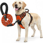 No Pull Dog Harness and Leash Set for Large Dogs – Adjustable Reflective Breathable Soft Padded Easy Control Dog Harness for Training & Walking, Orange (Large)