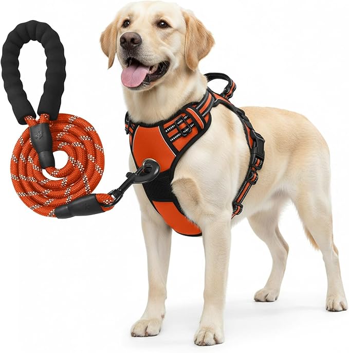 No Pull Dog Harness and Leash Set for Large Dogs – Adjustable Reflective Breathable Soft Padded Easy Control Dog Harness for Training & Walking, Orange (Large)