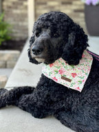 Lionet Paws Spring Dog Bandanas 2 Pack, Pink Washable Triangle Bibs Scarf Kerchief, Adjustable Flower Holiday Scarves for Small Medium Dogs