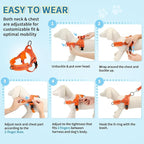 Lukovee No Pull Dog Harness and Leash Set, Soft Padded Small Dog Harness, Neck & Chest Adjustable Reflective Vest Puppy Harness with 4ft Lightweight Anti-Twist Dog Leash for Small Dogs (Orange, S)