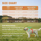 AUROTH Dog Harness and Leash Set, Soft Padded Service Dog Vest with 5.25FT Dog Leash, No Choke, Easy On Pet Vest, Adjustable Reflective No Pull Dog Harness Small Sized Dog, Easy Walking and Training