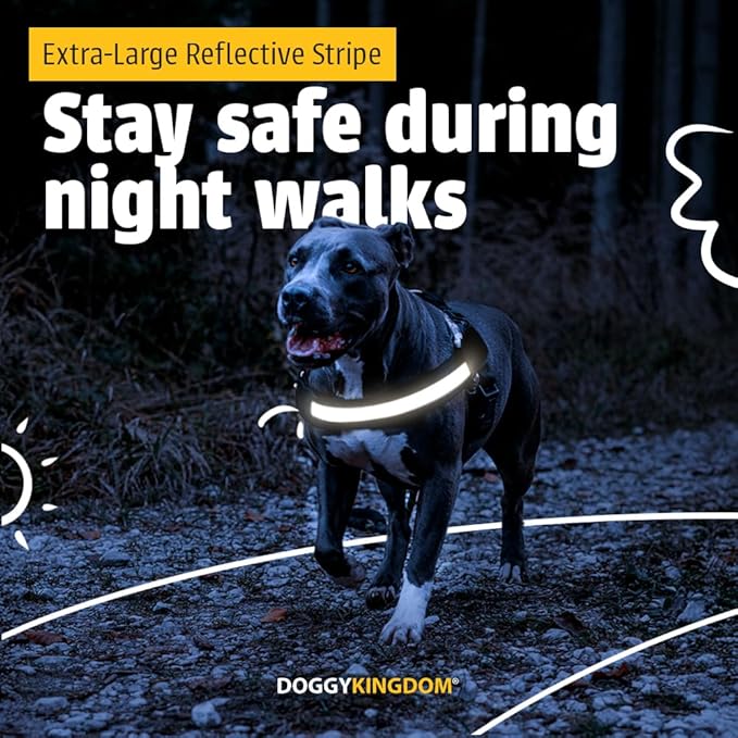 Dog Harness with Patch Panels, No Choke, Reflective, Adjustable, Soft Padded Dog Vest Harness with Easy Control Handle for Small Size Dog, US Flag, S