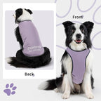 Dog Shirt, Cooling Vest Lightweight Breathable, Dog T-Shirts All-Season UV Protection Pet Clothes Quick Dry Soft Stretchy Pet Shirt Vest For Small Medium Large Dogs (Lilac Ether 1PC, X-Large)