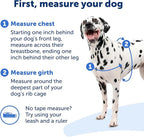 PetSafe Easy Walk Harness for Dogs - Pull-Free Walks - Patented Martingale Loop Design - Front Chest Leash Attachment - Comfort Straps - Breathable Harness Design - Medium/Large, Deep Purple/Black