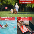 6 Pack Red Dog Chew Toys, Small Dog Teething Toys, Dental Health & Interactive Play