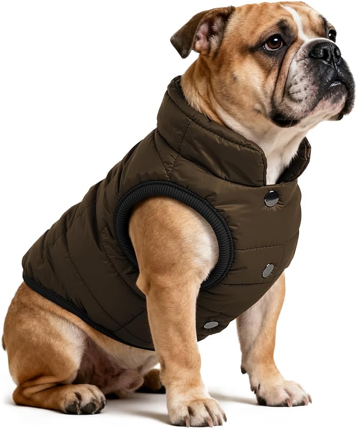 AURUZA Dog Winter Coat, Warm Waterproof Dogs Jacket Small Pet Vest for Medium Dogs Windproof Pet Fleece Vest Snow Jacket for Cold Weather(Brown, M)