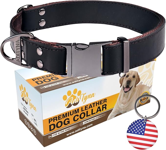 ADITYNA Leather Dog Collar with Metal Buckle - Heavy-Duty, Adjustable for Large & Extra Large Dogs - Walking & Training (Black, Fits 19-30" Necks)