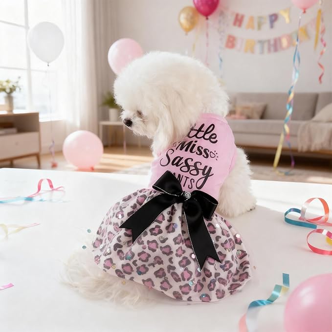 Little Miss Sassy Pants Dog Dress with Leopard Print Bowknot Dog Clothes for Small Medium Large Dogs Girls Boys Cats Outfit Apparel