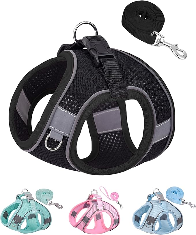 Solmoony Dog Harness for Small Medium Dogs No Pull, Puppy Harness and Leash Set, Puppy Harness, Step in Harness for Small Dogs,mesh Dog Harness. (Black, S)