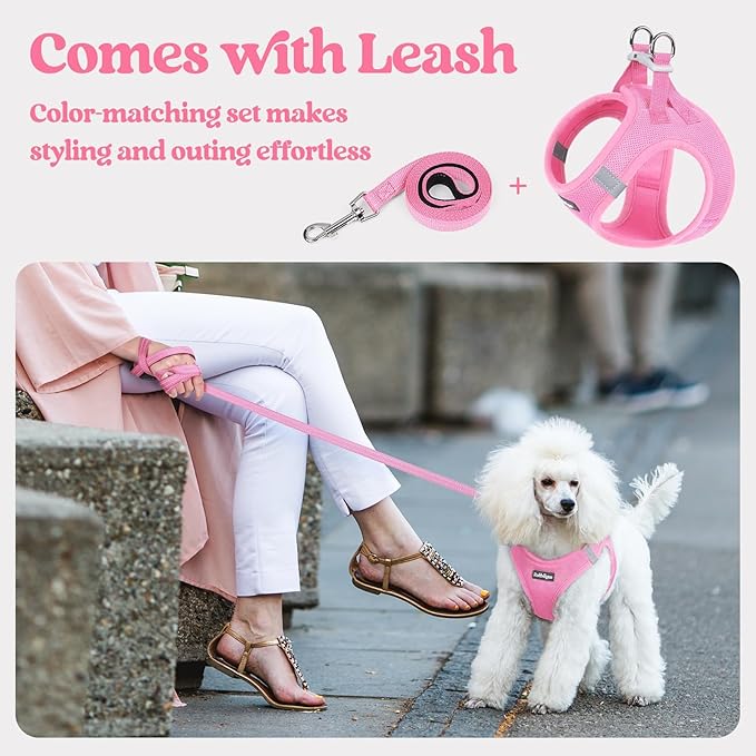 rabbitgoo Dog Harness Small Sized and Leash Set, Step in Soft Light Puppy Vest, Breathable Mesh Pet Harness, Reflective for Safe Easy Walking, Light Pink XXS