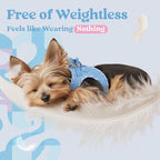 rabbitgoo Small Dog Harness, Step-in Soft Mesh Puppy Vest with Safety Buckle, Breathable Reflective Pet Harness for Small Sized Dogs, Blue & Plaid Trim XS