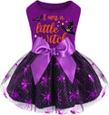 XPUDAC Halloween Dog Dress Witch Tulle Dress Holiday Dog Clothes for Small Dogs Girl, Spider Pet Costume Cat Apparel, Purple-Small