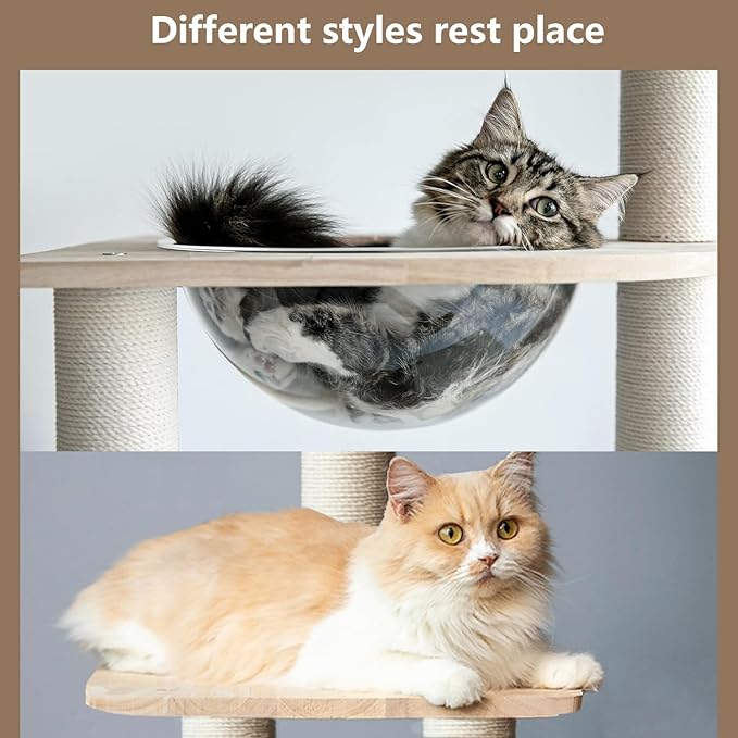 Solid Wood 65" Cat Tree Modern, Multi-Level Cat Tower for Indoor Cats, Sturdy Cat Tower with Hammock, Cozy Condo, Scratching Posts & Ladder