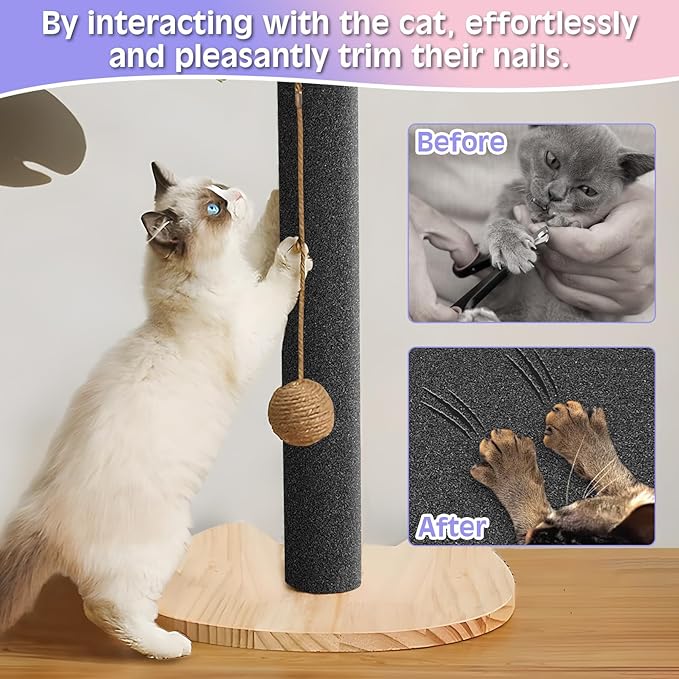 BNOSDM Self-Adhesive Dog Nail File Scratcher Emery Paper Cat Nail Scratch Board Replacement Sandpaper, Cuttable Pet Furniture Scratching Pad Protector for Door and Wall (17in*10ft, Black)
