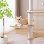 SHENGOCASE Modern Natural Wooden Wood Cat Tree Tower Condo, Extra Large Top Platform Perch, 57" Tall, Big Clear Capsule Bowl Bed, for Maine Coon Indoor Cats