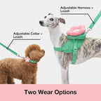 VETRESKA Flora Dog Harness, Leash and Collar Set, No Pull Dog Vest Harness for Walking and Training, Adjustable, Easy Control and Soft Padded Pet Harness and Backpack for Small Medium Large Dogs, XS