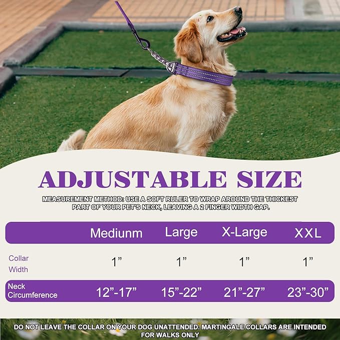 Martingale Dog Collar for Large Dogs,Heavy-Duty Collar with No Buckle Adjustable Reflective Strap & Chain Martingale Collar for Training & Walks (Boho L)