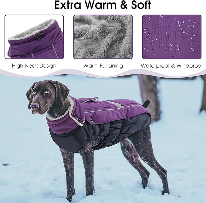 Queenmore Warm Fleece Dog Jacket - Cold Weather Waterproof Dog Snowsuit, Reflective Turtleneck, Purple, XL