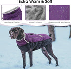 Queenmore Warm Fleece Dog Jacket - Cold Weather Waterproof Dog Snowsuit, Reflective Turtleneck, Purple, XL