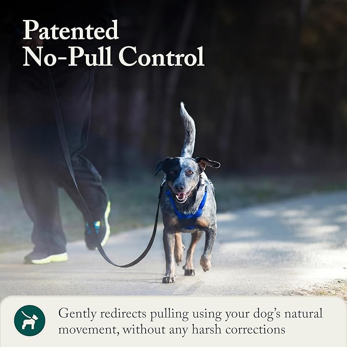 Sporn Mesh Non Pull Dog Harness Medium Blue, Perfect for Training-Stops Dogs from Pulling and Choking on Walks for Small, Medium and Large Dogs, Puppy Harness, No Pull Harness, No Choke Harness