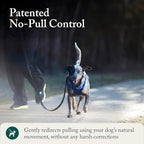 Sporn Mesh Non Pull Dog Harness Medium Blue, Perfect for Training-Stops Dogs from Pulling and Choking on Walks for Small, Medium and Large Dogs, Puppy Harness, No Pull Harness, No Choke Harness