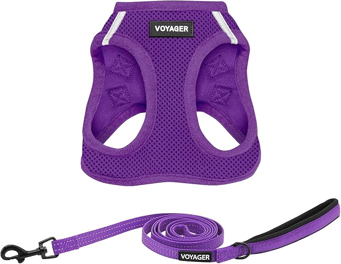Best Pet Supplies Voyager Step-in Air All Weather Mesh Harness and Reflective Dog 5 ft Leash Combo with Neoprene Handle, for Small, Medium and Large Breed Puppies - Set (Purple), L
