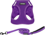 Best Pet Supplies Voyager Step-in Air All Weather Mesh Harness and Reflective Dog 5 ft Leash Combo with Neoprene Handle, for Small, Medium and Large Breed Puppies - Set (Purple), L