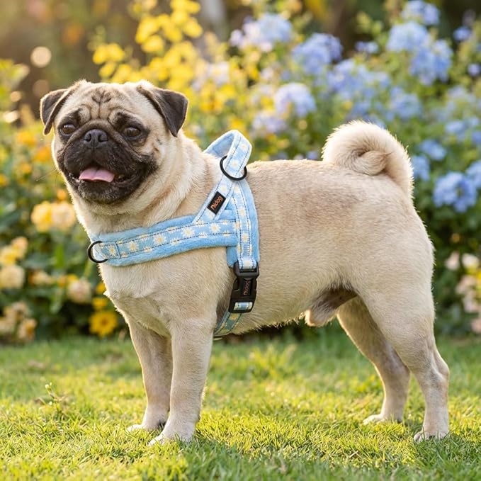 Didog No Pull Dog Harness with Soft Padded, Easy Walk Dog Harness with Quick Release Buckle, Adjustable & Reflective Pet Harness with Soft Padded for Small Medium Dogs (S:Chest 19-22", Blue)