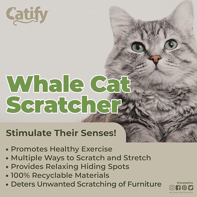 Best Pet Supplies Corrugated Cardboard Cat Scratcher Refill Pads, Lounger, and Fun Interactive Scratching Boards, Claw Safe, Durable, Natural Recycled Materials, Supports Active Play - Whale
