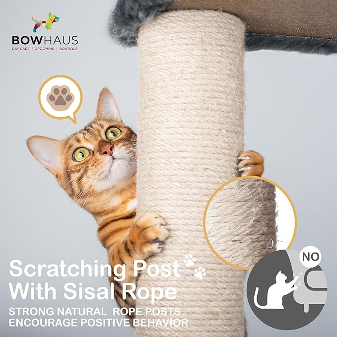 Tall Cat Tree for Indoor Large Cats or Kittens, Multi-Level Cat Activity Tree with Scratching Posts, Hammock, Cat Cave Condo, Modern Cute Small Cat Climbing Tower with Widened Perch