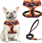 PUPTECK Soft Mesh Dog Harness and Leash Set Pet Puppy Cat Comfort Padded Vest No Pull Harnesses, Halloween Orange, M