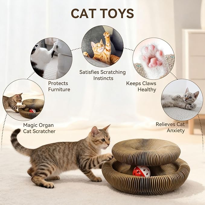 2PCS Cat Toys Magic Organ Cat Scratcher,Foldable Reversible Accordion Kitty Toy with Ball Bell for Indoor Cat Toy Exercise Anxiety Relief