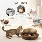 2PCS Magic Organ Cat Scratching Board,Foldable Reversible Accordion Cats Toy with Ball Bell for Indoor Outdoor Cats Toy Exercise Anxiety Relief