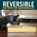 Our Pets Far and Wide Cat Scratcher Multipack - 2 Pack