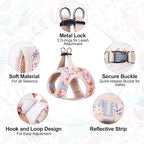 BEAUTYZOO Step in Dog Harness and Leash Set,Floral Pattern Reflective Dog Harness No Pull No Choke Puppy Harness for Small Medium Large Dogs Cats,Soft Padded Mesh Vest Harnesses for Girl and Boy Pets