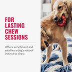 KONG Ring - Natural Rubber Ring Toy for Healthy Chewing Habits - Chew Toy Supports Dog Dental Health - Dog Toy Supports Instincts During Playtime - for Small/Medium Dogs