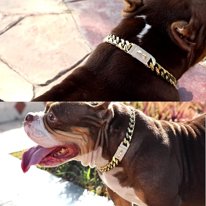 New Gold Dog Chain Collar with Bling Zircon Buckle,19MM Strong Stainless Steel Cuban Link Chain Collar,Dog Necklace Collar for Small Medium,Large Dogs