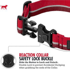 Tuff Pupper Martingale Collar for Dogs | Gentle Nylon & Steel Chain Limited Cinch Design is Perfect for Training | Dual Leash Attachment Points | Durable Quick Release Buckle | Sizing for All Breeds