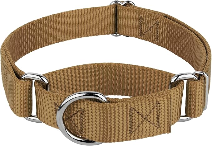 Country Brook Petz - Martingale Dog Collar - Heavy-Duty Training Collar with No Buckle - Service Dog Collar for All Pups - 10+ Warm Colors (Coyote Tan, 5/8 Inch, Extra Small)