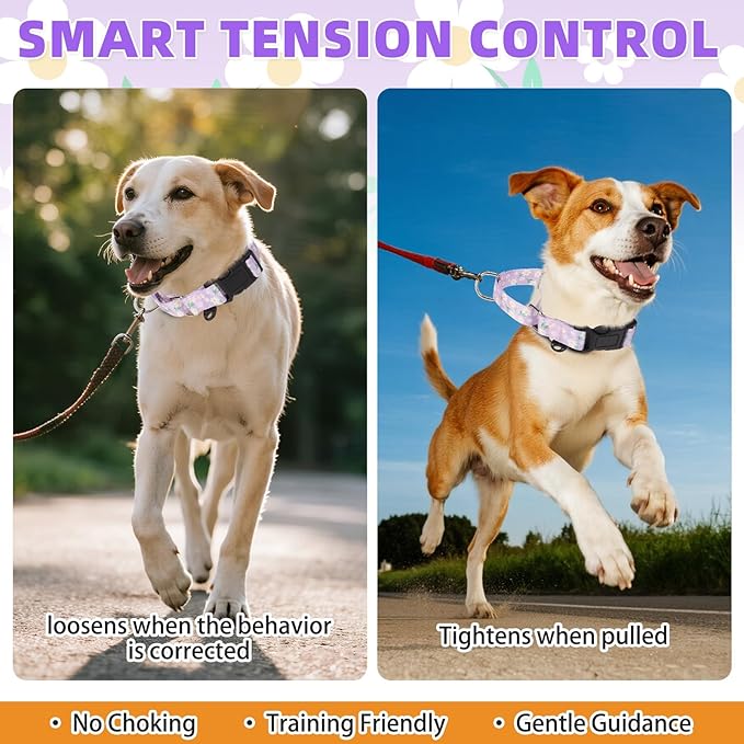 KOOLTAIL Martingale Collar for Dogs for Small Medium Large Dogs, Soft Padded Nylon No Pull Dog Collar with Buckle, Adjustable No Slip Heavy Duty Durable Puppy Training Collar for Boys Girls, Purple M