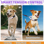 KOOLTAIL Martingale Collar for Dogs for Small Medium Large Dogs, Soft Padded Nylon No Pull Dog Collar with Buckle, Adjustable No Slip Heavy Duty Durable Puppy Training Collar for Boys Girls, Purple M
